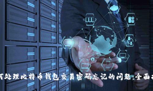 如何处理比特币钱包交易密码忘记的问题:全面指南