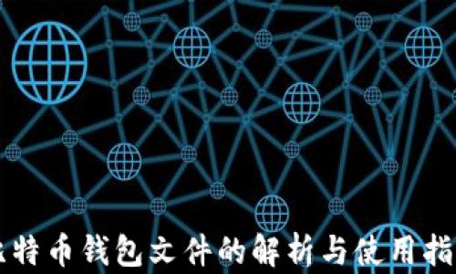 比特币钱包文件的解析与使用指南