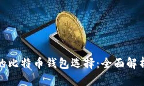 最安全的比特币钱包选择:全面解析与推荐