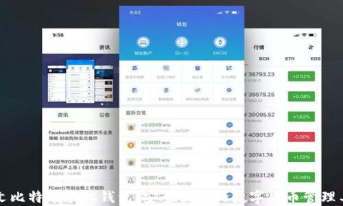中文比特币手机钱包:安全便捷的数字货币管理工具