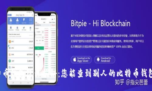 比特币钱包隐私揭秘:您能查到别人的比特币钱包吗?