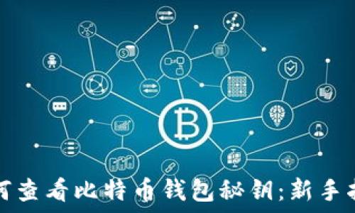 如何查看比特币钱包秘钥:新手指南