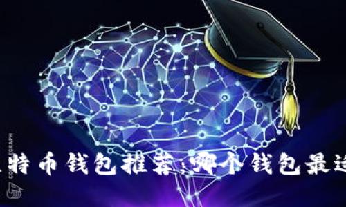 精选比特币钱包推荐:哪个钱包最适合你?