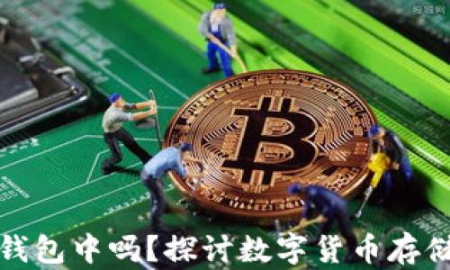 狗狗币可以存储在钱包中吗?探讨数字货币存储的安全性与便捷性