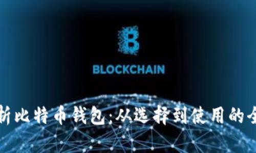 全面解析比特币钱包:从选择到使用的全面指南