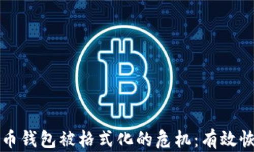如何应对比特币钱包被格式化的危机:有效恢复和保障指南