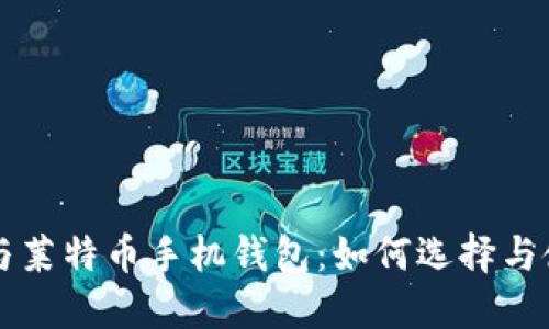 比特币与莱特币手机钱包:如何选择与使用指南