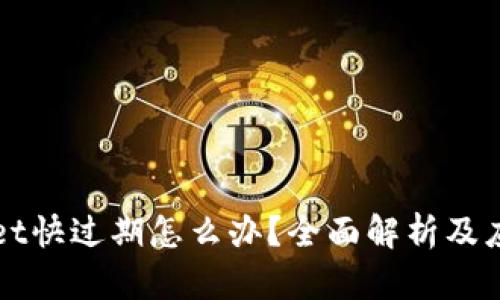 TPWallet快过期怎么办?全面解析及应对方案