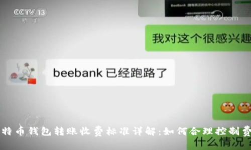 比特币钱包转账收费标准详解:如何合理控制费用