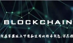 如何在苹果版上下载和使