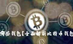 比特币存在哪些钱包？全