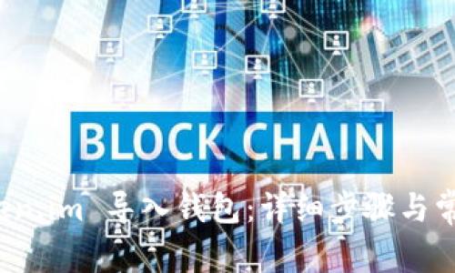 如何在 Token.im 导入钱包:详细步骤与常见问题解答