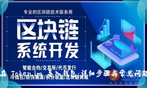 如何在 Token.im 导入钱包:详细步骤与常见问题解答