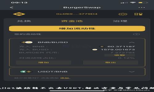 tpwallet波场转不出去USDT:解决方案与常见问题解析