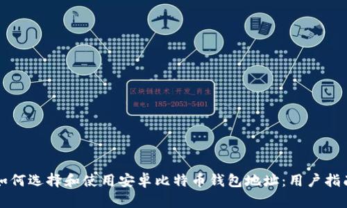 如何选择和使用安卓比特币钱包地址:用户指南