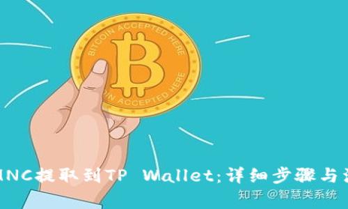 如何将MNC提取到TP Wallet:详细步骤与注意事项