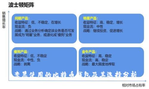 李晨使用的比特币钱包及其选择分析