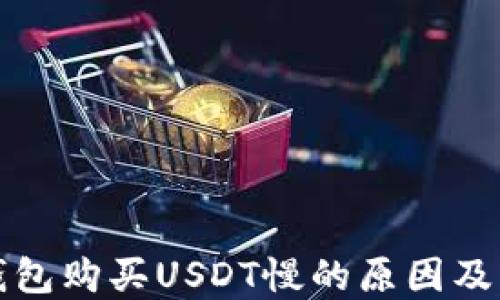 比特派钱包购买USDT慢的原因及解决方案