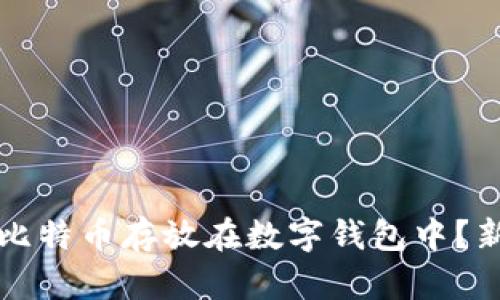 如何将比特币存放在数字钱包中?新手指南