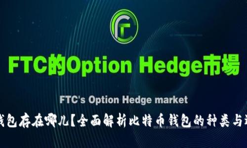 比特币钱包存在哪儿?全面解析比特币钱包的种类与选择指南
