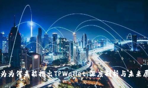 华为为何未能推出TPWallet:深度剖析与未来展望