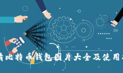 高清比特币钱包图片大全及使用指南