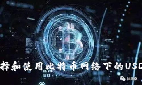 如何选择和使用比特币网络下的USDT钱包?