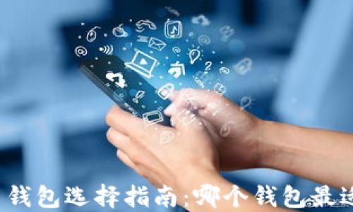比特币钱包选择指南:哪个钱包最适合你?