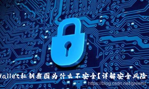 ### TPWallet私钥截图为什么不安全?详解安全风险与解决方案