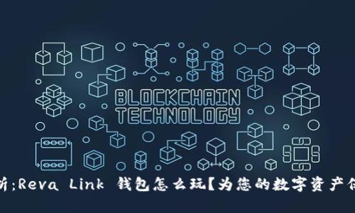 全面解析:Reva Link 钱包怎么玩?为您的数字资产保驾护航