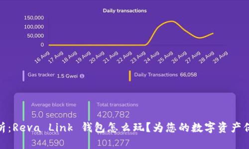 全面解析:Reva Link 钱包怎么玩?为您的数字资产保驾护航