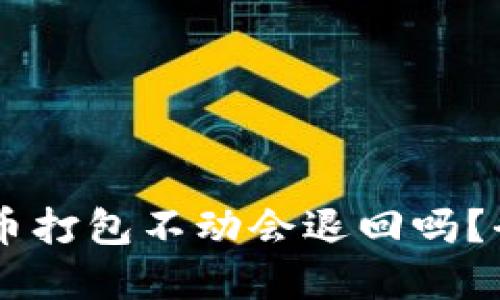 ### TPWallet转币打包不动会退回吗?全面解答与解决方案