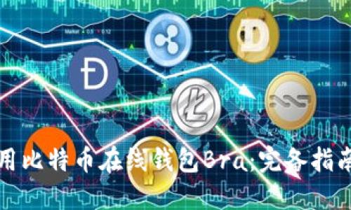 如何安全使用比特币在线钱包Bra：完备指南与实用技巧