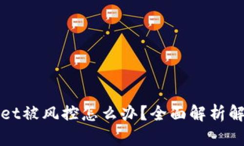 TPWallet被风控怎么办?全面解析解决方案