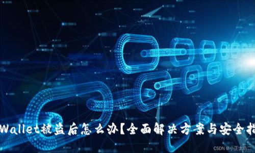 TPWallet被盗后怎么办?全面解决方案与安全指南