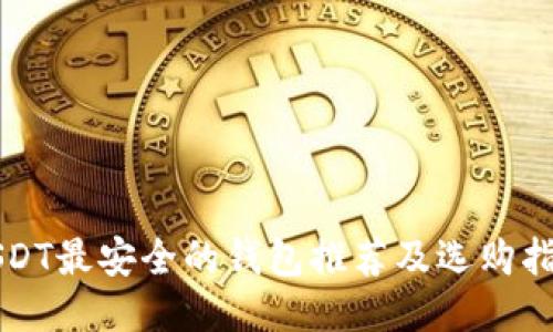 USDT最安全的钱包推荐及选购指南