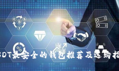 USDT最安全的钱包推荐及选购指南