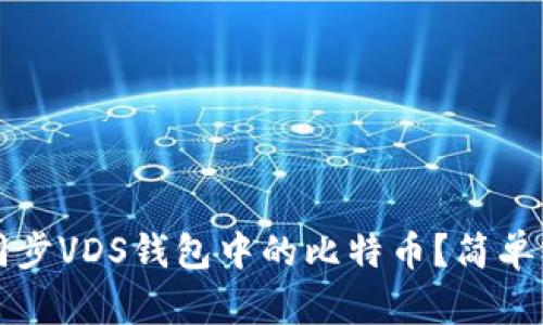 如何高效同步VDS钱包中的比特币?简单实用的指南