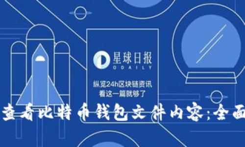 如何查看比特币钱包文件内容:全面指南