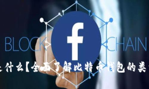 比特币钱包是什么?全面了解比特币钱包的类型与使用方法
