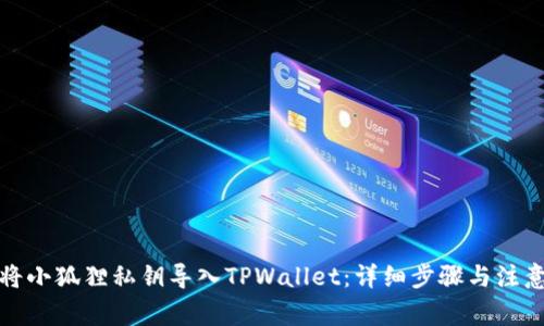 如何将小狐狸私钥导入TPWallet:详细步骤与注意事项