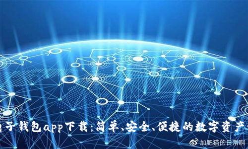 比特币电子钱包app下载:简单、安全、便捷的数字资产管理方案