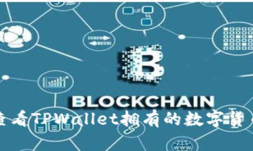 如何查看TPWallet拥有的数字货币余额