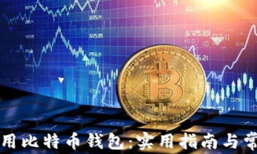 如何安全使用比特币钱包:实用指南与常见问题解析
