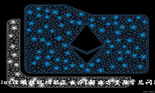 tpwallet没有提现功能怎么办？解决方案与常见问题解析