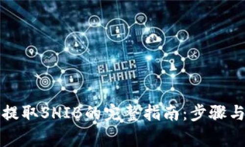 火币钱包提取SHIB的完整指南:步骤与注意事项