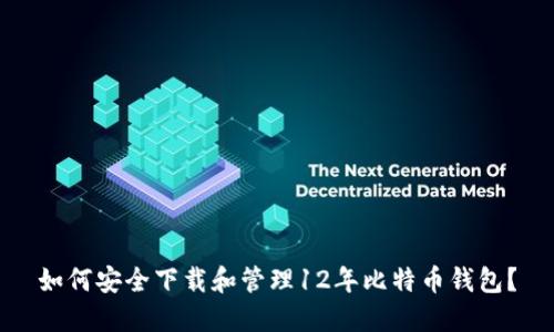 如何安全下载和管理12年比特币钱包?