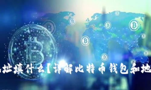 比特币钱包地址填什么?详解比特币钱包和地址的使用指南