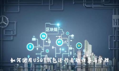 如何使用USDT钱包进行自动归集与管理