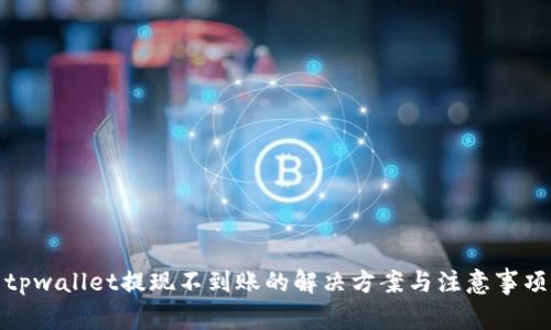 tpwallet提现不到账的解决方案与注意事项